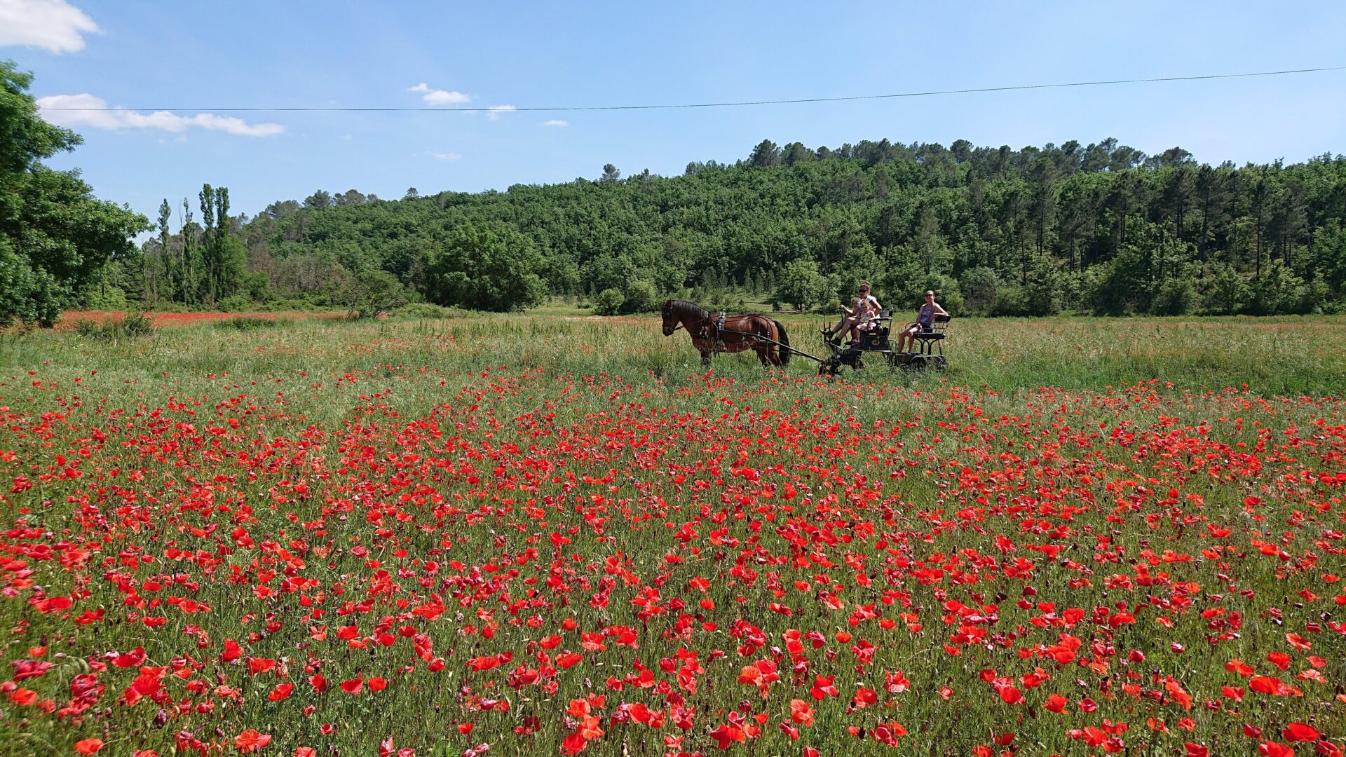 CalКche-5-rotated‑1