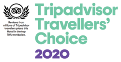 Trip Advisor 2020 500X257